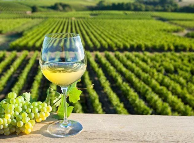Вилла Dependance Chaleureuse Dans Le Vignoble Nantais La Haie-Fouassiere Экстерьер фото