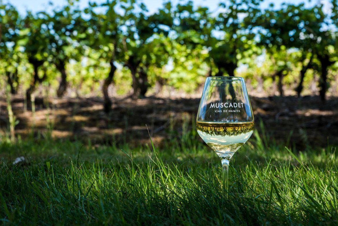 Вилла Dependance Chaleureuse Dans Le Vignoble Nantais La Haie-Fouassiere Экстерьер фото